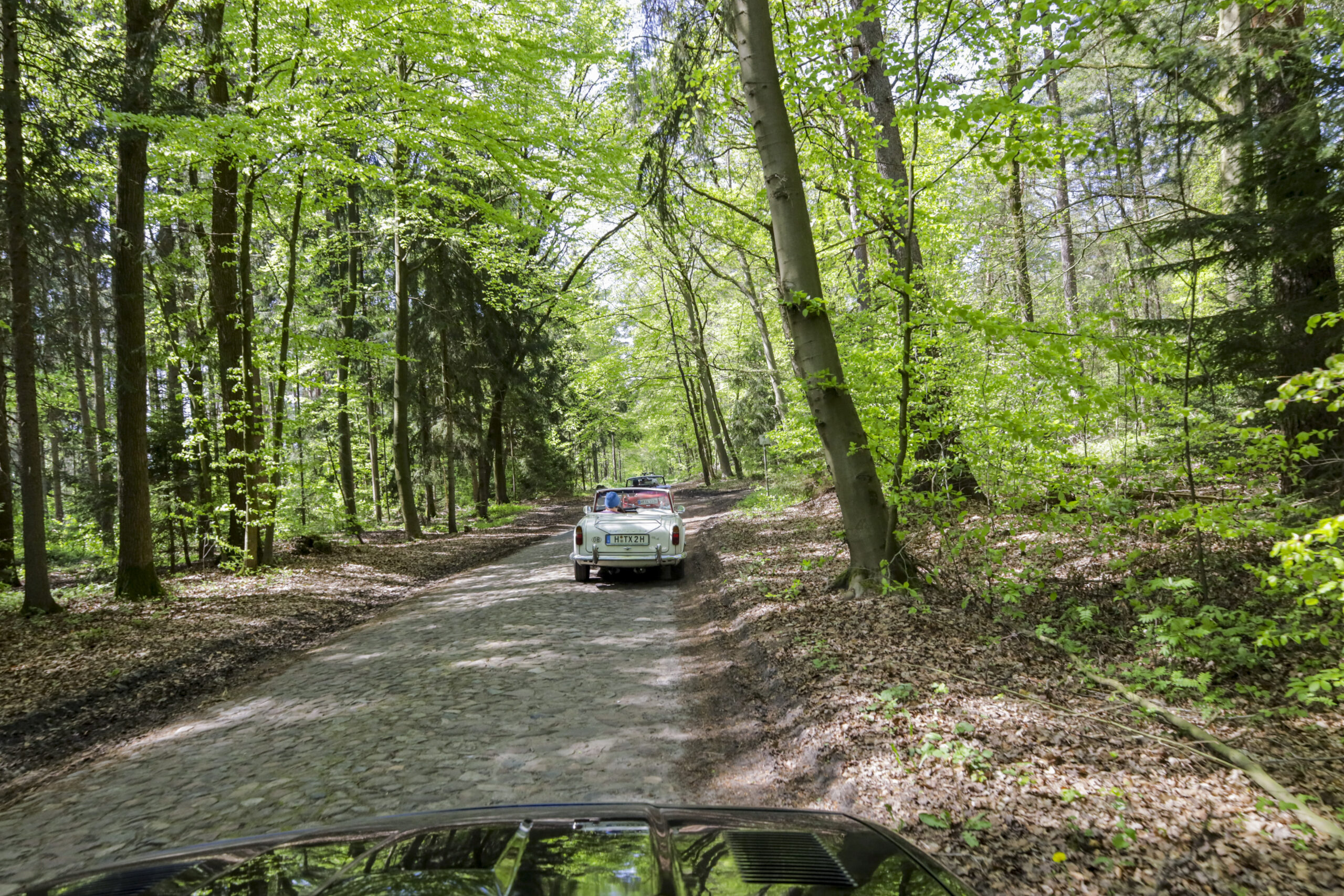 20240501_0033_www-ritterimages-com