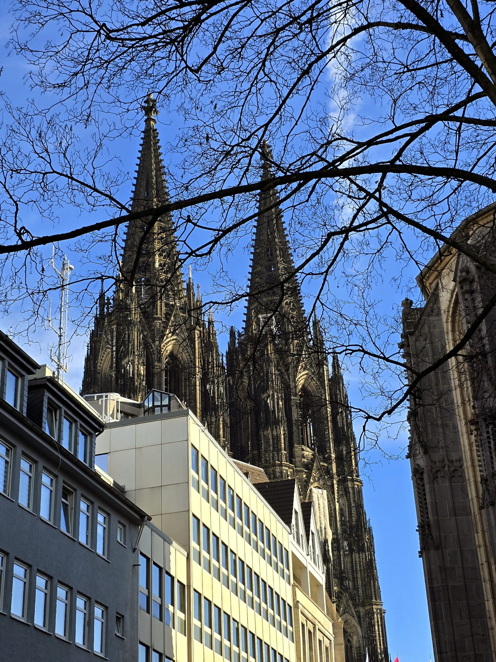 Romanische Kirchen in Köln 2026
